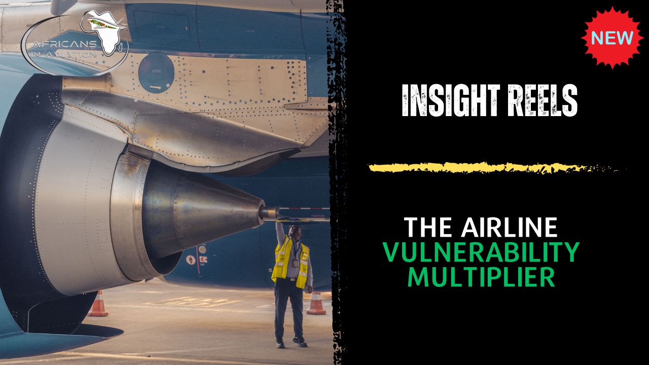 The Airline Vulnerability Multiplier